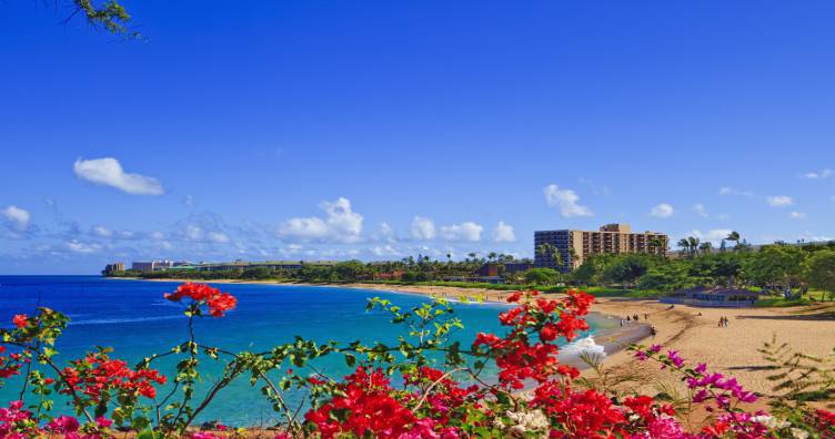 Beach Resorts Maui